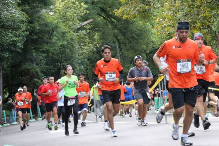 484705_147847695413819_598697305_n